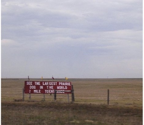 Gina Schreck Worlds largest prairie dog between Colorado and Kansas